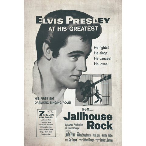 ブリキ看板 レトロ インテリア エルビスプレスリー ジェイルハウスロック 映画ポスター ビンテージ 雑貨 壁飾り