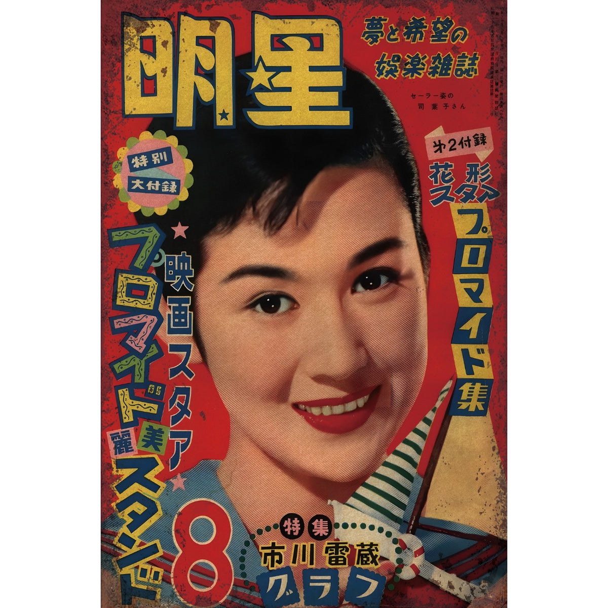 明星 昭和レトロ 映画 女優 雑誌 表紙 ブリキ看板 ポスター
