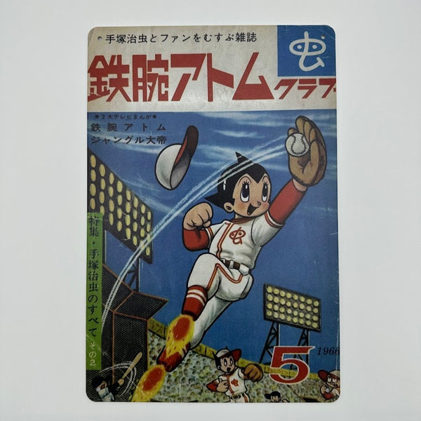 IMG_6593_grande.jpg?v=1734864297