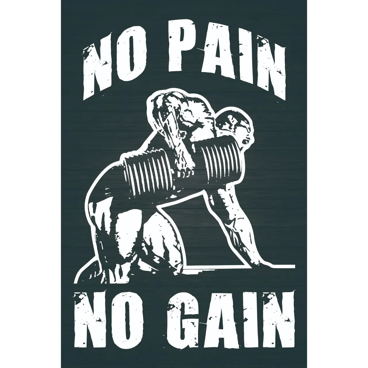 NO PAIN NO GAIN 筋トレ ジム モチベーション 縦型 ブリキ看板 インテリア
