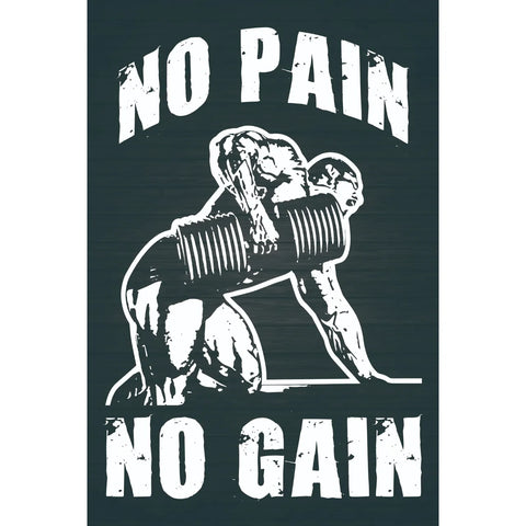 NO PAIN NO GAIN 筋トレ ジム モチベーション 縦型 ブリキ看板 インテリア