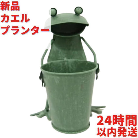カエル プランター シングル 18.5cm